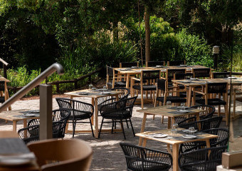 The Wild Fig Terrace