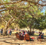 Casalinga Organic Farm Image 19