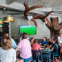 Dizzys Camps Bay Image 10