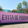 Evita Se Perron Image 13