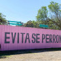 Evita Se Perron Image 10