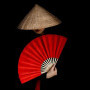 Geisha Wok and Noodle Bar Image 6