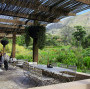 MOYO - Kirstenbosch Image 21