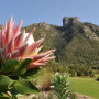Moyo Kirstenbosch Image 1