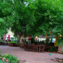 Ouma's Tea Garden at Smuts House Museum Image 16