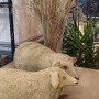 Steam Cafe & Restaurant Image 10
