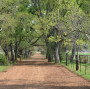 The Barn Image 8