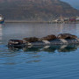 The Lookout Hout Bay Image 24