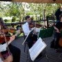 String-Quartet at Jasmine Chapel