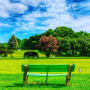 Zoo Lake Bowls Image 1
