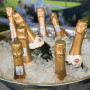 , The Franschhoek Cap Classique & Champagne Festival - 'The Magic of Bubbles’
