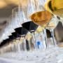 , The Old Mutual Trophy Wine Show – South Africa's best wine judges assemble to focus a spotlight on the Cape's best wines!