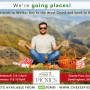 , SA Cheese Festival is Going Places with Four Pop-Up Picnics