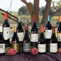 , Six Vintages excel in Shiraz SA Challenge