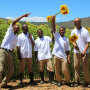 Vergelegen Wine Estate, Sunflower celebration in full bloom at Vergelegen