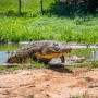 Fish Eagle Cafe, 7 Reasons to sign up for Crocworld’s 2025 Membership!