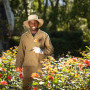 Vergelegen Wine Estate, Vergelegen’s Garden Highlights set to delight Flower Lovers!