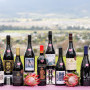 , Diverse styles shine at the 2025 Shiraz SA Challenge