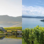 Creation Wines, From Swiss Alps to African Soil: A Love Story Written in Pinot Noir