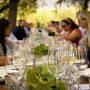 , The 2026 Wine Harvest Commemorative Event Marks 367 Years of South African Wine Excellence