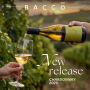 Bacco Estate, A New Vintage. A New Expression: Meet the Baccō Chardonnay 2025