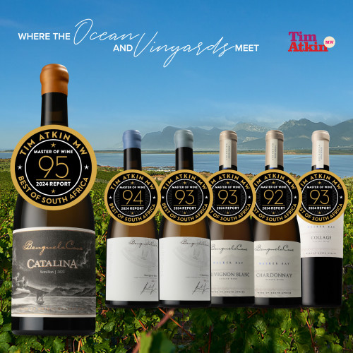 Festive, Award-Winning Wine Gift Boxes 2024