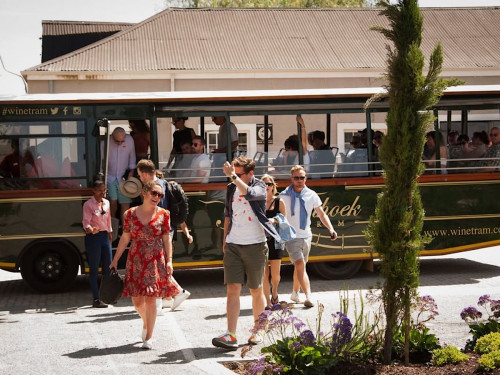 All Aboard the Wine Tram – Hop on the Orange Line to Baccō Estate!