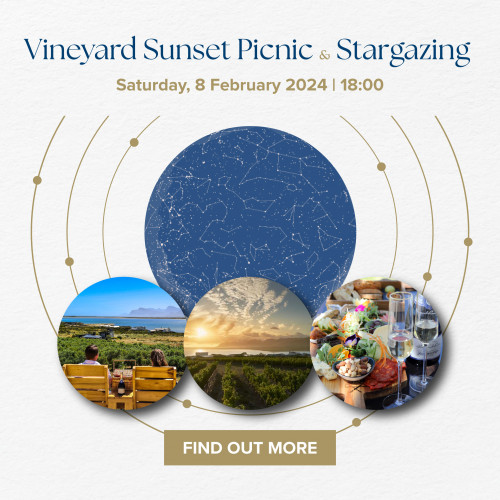 Vineyard Sunset Picnic and Stargazing 