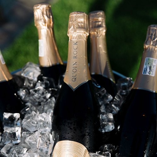 Vintage White: Exclusive Wine Tasting Experience