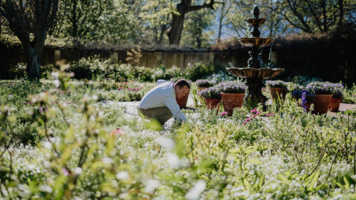 Spring Garden Walks and our Annual Plant Sale: 16 - 19 October