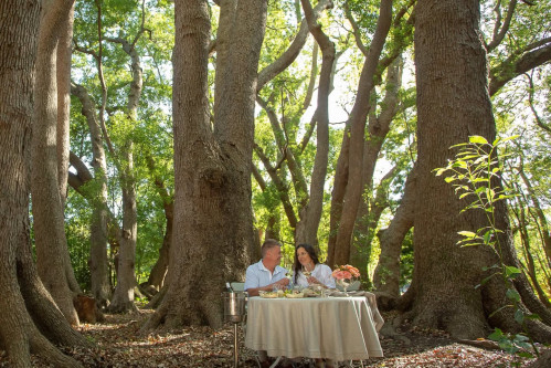 Picnic in the Camphor Forest