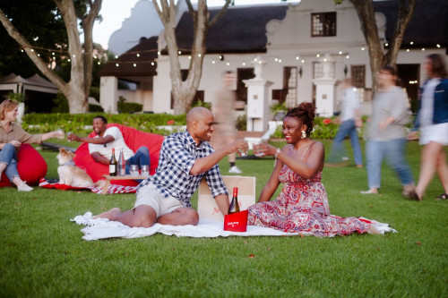 Picnic Under the Stars