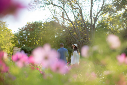 Gourmet Valentine's Day Sunset Picnic at Vergelegen