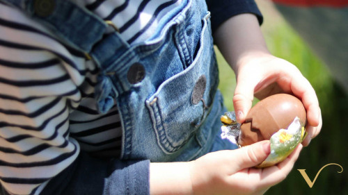 Vergelegen Easter Egg Hunt 2026