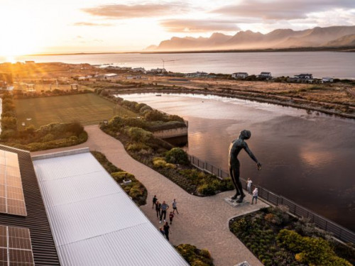 Discover, Taste & Enjoy