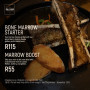 Bone Marrow