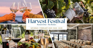 Harvest Festival at Benguela Cove Wine Estate