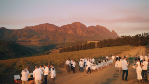 The Harvest Celebration Long Table in the Quoin Rock Vineyards.