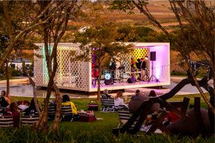 A Jazzy Picnic under the Stars