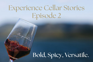 Cellar Stories Episode 2