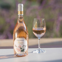 Wine of the Month