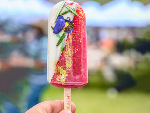 J.C. Le Roux Ice Lollies