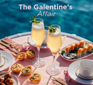 The Galentine's Affair