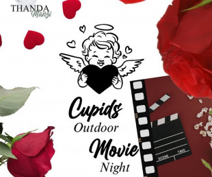 Valentine's Day - Movie Night