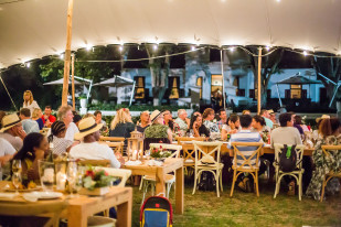 Step into the Heart of the 2026 Vintage at Nederburg