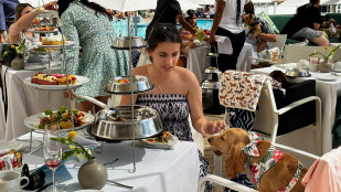Doggy High Tea 