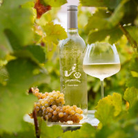 A Special Offer on Chenin Blanc