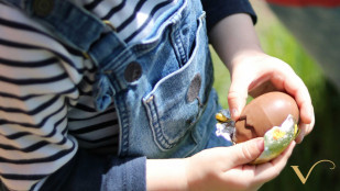 Vergelegen Easter Egg Hunt 2026