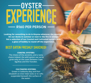 Oyster Experience