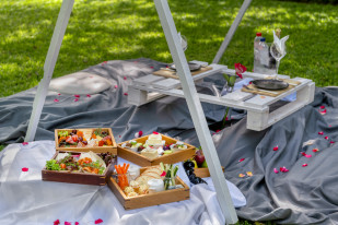 Picnics @ De Hoek
